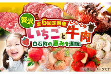 【先行予約】【6回定期便】産地直送！白石町産 いちごと牛肉の贅沢定期便 [IZZ009]