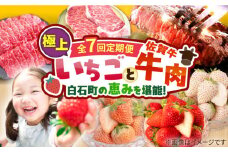 【先行予約】【7回定期便】産地直送！白石町産 いちごと牛肉の極上定期便 [IZZ014]