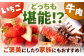 1月配送開始！イチゴとお肉の極上定期便