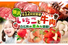 【先行予約】【12回定期便】産地直送！白石町産 いちごと牛肉の贅沢定期便 [IZZ010]