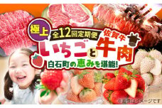 【先行予約】【12回定期便】産地直送！白石町産 いちごと牛肉の極上定期便 [IZZ015]
