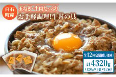 【全12回定期便】身体にやさしい！お手軽調理！牛丼の具（120g×3袋入り）【べんがら】 [IAZ008]