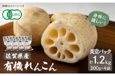 有機JAS れんこん 真空パック入り 300g×4袋（計1.2kg）【有限会社マルハ園芸】 [ICC001]