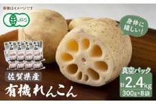 有機JAS れんこん 真空パック入り 300g×8袋（計2.4kg）【有限会社マルハ園芸】 [ICC002]