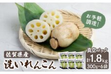 洗いれんこん 真空パック入り 300g×6袋（計1.8kg）【有限会社マルハ園芸】レンコン 蓮根 野菜 根菜 [ICC003]