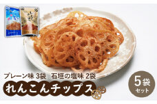 【ギフトにもおすすめ！】れんこんチップス 5袋入り（プレーン味×3袋/石垣の塩味×2袋）【有限会社マルハ園芸】 [ICC005]