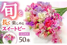 【R7年度12月以降発送】【生産農家直送！】スイートピー 花束 50本（ミックス）【木下農園】 お花 生花 ギフト 贈り物 プレゼント  [IBW001]