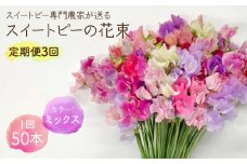 【R8年1月以降発送】 【生産農家直送！】【3回定期便】スイートピー 花束 50本（ミックス）【木下農園】 お花 生花 ギフト 贈り物 プレゼント  [IBW006]