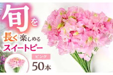 【R7年度12月以降発送】【生産農家直送！】スイートピー 花束 50本（ピンク）【木下農園】 お花 生花 ギフト 贈り物 プレゼント  [IBW002]