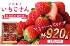 こだわり いちごさん 約230g×4パック（計920g以上）【高主いちご園】 [ICI001]
