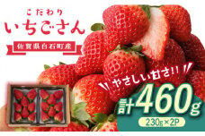 こだわり いちごさん 約230g×2パック（計460g以上）【高主いちご園】 [ICI002]