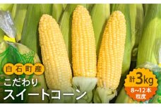 【数量限定】農家直送！こだわりスイートコーン 約3kg（8～12本程度）【玉葱農家 陣内ちひろ】とうもろこし コーン ミライ ドルチェドリーム 野菜 九州 佐賀県 白石町 [IAO014]