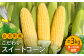 数量限定！甘～いとうもろこし