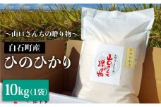 【令和6年産新米！】 特別栽培米 ひのひかり 10kg 白米～山口さんちの贈り物～【y'scompany】佐賀県産 米 お米 ヒノヒカリ ひのひかり お米 特別栽培米 白米 人気 高評価 九州 佐賀県 白石町 [IAS009]