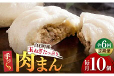 【6回定期便】【おやつに大人気！】白石産玉ねぎたっぷり 手づくり肉まん 詰め合わせ 10個入り【五反田茶屋】 肉まん 中華まん 饅頭 おやつ セット 詰め合わせ 惣菜 冷凍 国産 定期便 九州 佐賀県 白石町 [IAM005]