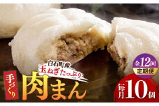 【12回定期便】【おやつに大人気！】白石産玉ねぎたっぷり 手づくり肉まん 詰め合わせ 10個入り【五反田茶屋】 肉まん 中華まん 饅頭 おやつ セット 詰め合わせ 惣菜 冷凍 国産 定期便 九州 佐賀県 白石町 [IAM006]