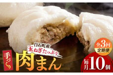 【3回定期便】【おやつに大人気！】白石産玉ねぎたっぷり 手づくり肉まん 詰め合わせ 10個入り【五反田茶屋】 肉まん 中華まん 饅頭 おやつ セット 詰め合わせ 惣菜 冷凍 国産 定期便 九州 佐賀県 白石町 [IAM004]