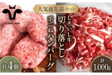 【牧場直送】人気返礼品セット！手ごね ハンバーグ 4個＆しろいし牛 切り落とし 1000g（500g×2パック）【佐賀セントラル牧場】佐賀県産 肉 お肉 牛肉 食べ比べ 切落し ハンバーグ 詰め合わせ 九州 佐賀県 白石町 [IAH108]