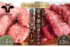 【牧場直送】人気返礼品セット！手ごねハンバーグ 4個＆しろいし牛 希少部位 焼肉用 盛り合わせ 420g【佐賀セントラル牧場】佐賀県産 肉 お肉 牛肉 食べ比べ ハンバーグ 焼き肉 BBQ バーベキュー 詰め合わせ 九州 佐賀県 白石町 [IAH110]