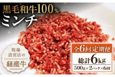 【小分けがうれしい！】【6回定期便】牧場直営店の黒毛和牛100%ミンチ 1000g（500g×2パック）【川﨑畜産】佐賀県産 牛 牛肉 牛挽き肉 牛挽肉 挽肉 挽き肉 ひき肉 小分け お肉 肉 冷凍 佐賀県産 九州 佐賀県 白石町 [IAX021]