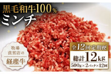 【小分けがうれしい！】【12回定期便】牧場直営店の黒毛和牛100%ミンチ 1000g（500g×2パック）【川﨑畜産】佐賀県産 牛 牛肉 牛挽き肉 牛挽肉 挽肉 挽き肉 ひき肉 小分け お肉 肉 冷凍 佐賀県産 九州 佐賀県 白石町 [IAX022]