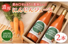 【砂糖不使用！】濃厚 にんじん ジュース 720ml×2本セット【よしはらふぁーむ】 [ICM001]