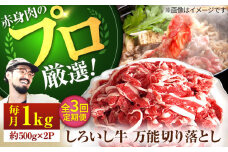 【牧場直送】【3回定期便】佐賀県産 しろいし牛 万能 切落し 1kg（500g×2パック） 【佐賀セントラル牧場】佐賀県産 肉 お肉 牛肉 切り落とし 国産 和牛 大容量 冷凍 九州 佐賀県 白石町 [IAH133]