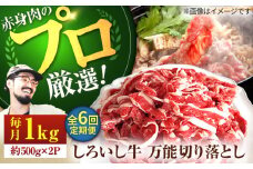 【牧場直送】【6回定期便】佐賀県産 しろいし牛 万能 切落し 1kg（500g×2パック）【佐賀セントラル牧場】佐賀県産 肉 お肉 牛肉 切り落とし 国産 和牛 きりおとし 大容量 冷凍 九州 佐賀県 白石町 [IAH134]