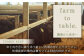 【FARM to TABLE】農場から食卓へ、牧場直送でお届け！
