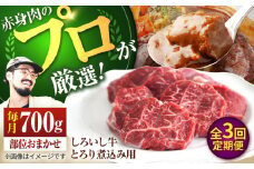 【牧場直送】【3回定期便】佐賀県産 しろいし牛 とろり 煮込み用 700g【佐賀セントラル牧場】佐賀県産 肉 お肉 牛肉 カレー シチュー スネ 九州 佐賀県 白石町 [IAH139]