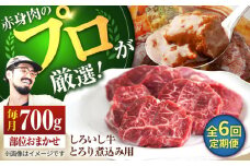 【牧場直送】【6回定期便】佐賀県産 しろいし牛 とろり 煮込み用 700g【佐賀セントラル牧場】佐賀県産 肉 お肉 牛肉 カレー シチュー スネ ネック 九州 佐賀県 白石町 [IAH140]