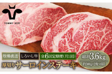 【牧場直送】【6回定期便】佐賀県産 しろいし牛 厚切り サーロインステーキ 600g【佐賀セントラル牧場】佐賀県産 牛肉 サーロイン ステーキ すてーき さーろいん ステーキ 九州 佐賀県 白石町 [IAH152]