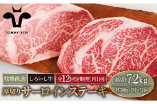 【牧場直送】【12回定期便】佐賀県産 しろいし牛 厚切り サーロインステーキ 600g（約300g×2枚）【佐賀セントラル牧場】佐賀県産 牛肉 サーロイン ステーキ すてーき さーろいん ステーキ 九州 佐賀県 白石町 [IAH153]