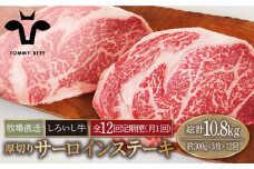 【牧場直送】【12回定期便】佐賀県産 しろいし牛 厚切り サーロインステーキ 900g（約300g×3枚）【佐賀セントラル牧場】佐賀県産 牛肉 サーロイン ステーキ すてーき さーろいん ステーキ 九州 佐賀県 白石町 [IAH156]
