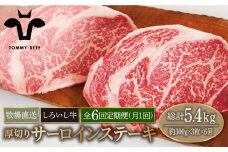 【牧場直送】【6回定期便】佐賀県産 しろいし牛 厚切り サーロインステーキ 900g（約300g×3枚）【佐賀セントラル牧場】佐賀県産 牛肉 サーロイン ステーキ すてーき さーろいん ステーキ 九州 佐賀県 白石町 [IAH155]