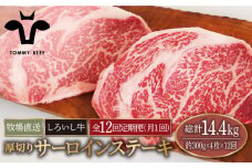 【牧場直送】【12回定期便】佐賀県産 しろいし牛 厚切り サーロインステーキ 1.2kg（約300g×4枚）【佐賀セントラル牧場】佐賀県産 牛肉 サーロイン ステーキ すてーき さーろいん ステーキ 九州 佐賀県 白石町 [IAH159]