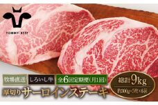 【牧場直送】【6回定期便】佐賀県産 しろいし牛 厚切り サーロインステーキ 1.5kg（約300g×5枚）【佐賀セントラル牧場】佐賀県産 牛肉 サーロイン ステーキ すてーき さーろいん ステーキ 九州 佐賀県 白石町 [IAH161]