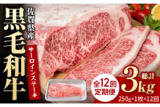 【12回定期便】佐賀県産 黒毛和牛 贅沢 サーロインステーキ 250g×1枚【いろは精肉店】佐賀県産 佐賀産和牛 牛肉 国産 肉 和牛 サーロイン ステーキ さーろいん すてーき 冷凍 白石町 九州 定期便 人気 高評価 九州 佐賀県 白石町 [IAG086]
