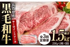【3回定期便】佐賀県産 黒毛和牛 贅沢 サーロインステーキ 250g×2枚（計500g）【いろは精肉店】佐賀県産 佐賀産和牛 牛肉 国産 肉 和牛 サーロイン ステーキ さーろいん すてーき 冷凍 白石町 九州 定期便 人気 高評価 九州 佐賀県 白石町 [IAG087]