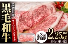 【3回定期便】佐賀県産 黒毛和牛 贅沢 サーロインステーキ 250g×3枚（計750g）【いろは精肉店】佐賀県産 佐賀産和牛 牛肉 国産 肉 和牛 サーロイン ステーキ さーろいん すてーき 冷凍 白石町 九州 定期便 人気 高評価 九州 佐賀県 白石町 [IAG090]