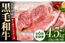 【6回定期便】佐賀県産 黒毛和牛 贅沢 サーロインステーキ 250g×3枚（計750g）【いろは精肉店】佐賀県産 佐賀産和牛 牛肉 国産 肉 和牛 サーロイン ステーキ さーろいん すてーき 冷凍 白石町 九州 定期便 人気 高評価 九州 佐賀県 白石町 [IAG091]