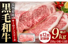 【12回定期便】佐賀県産 黒毛和牛 贅沢 サーロインステーキ 250g×3枚（計750g）【いろは精肉店】佐賀県産 佐賀産和牛 牛肉 国産 肉 和牛 サーロイン ステーキ さーろいん すてーき 冷凍 白石町 九州 定期便 人気 高評価 九州 佐賀県 白石町 [IAG092]