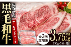 【3回定期便】佐賀県産 黒毛和牛 贅沢 サーロインステーキ 250g×5枚（計1250g）【いろは精肉店】佐賀県産 佐賀産和牛 牛肉 国産 肉 和牛 サーロイン ステーキ さーろいん すてーき 冷凍 白石町 九州 定期便 人気 高評価 九州 佐賀県 白石町 [IAG093]