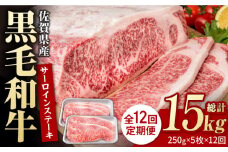 【12回定期便】佐賀県産 黒毛和牛 贅沢 サーロインステーキ 250g×5枚（計1250g）【いろは精肉店】佐賀県産 佐賀産和牛 牛肉 国産 肉 和牛 サーロイン ステーキ さーろいん すてーき 冷凍 白石町 九州 定期便 人気 高評価 九州 佐賀県 白石町 [IAG095]