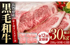 【12回定期便】佐賀県産 黒毛和牛 贅沢 サーロインステーキ 250g×10枚（計2.5kg）【いろは精肉店】佐賀県産 佐賀産和牛 牛肉 国産 肉 和牛 サーロイン ステーキ さーろいん すてーき 冷凍 白石町 九州 定期便 人気 高評価 九州 佐賀県 白石町 [IAG098]