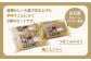 白石産レンコンパウダー入り♪昔懐かしこんにゃく2種