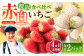 【1月発送開始！】赤いちご、白いちごが交互に楽しめる♪