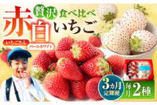 【先行予約】【3回定期便】食べ比べ！いちごさん＆パールホワイト 詰め合わせ定期便 各品種220g×1パック（計440g以上）【かわさきいちご】 [IBG013]