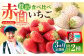 【2月発送開始！】赤いちご、白いちごが両方楽しめる♪