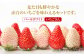 【2月発送開始！】赤いちご、白いちごが両方楽しめる♪